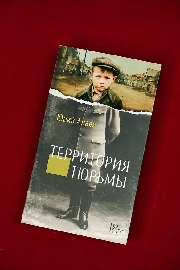 Книга Территория тюрьмы (Юрий Алаев) — 8