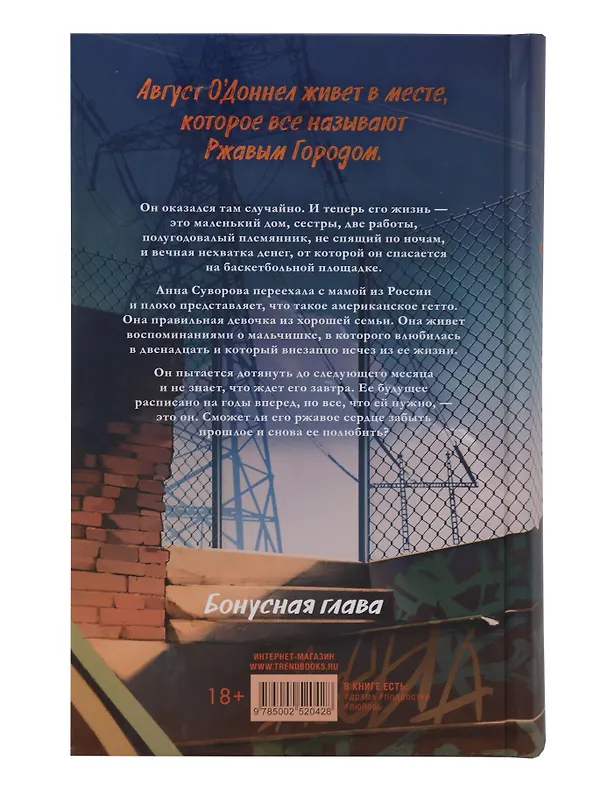 Книга Комплект книг "Ржавчина", "Парадокс Севера" (Виктория Побединская) — 10