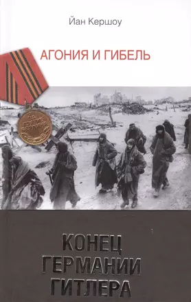 Конец Германии Гитлера. Агония и гибель — 2419321 — 1