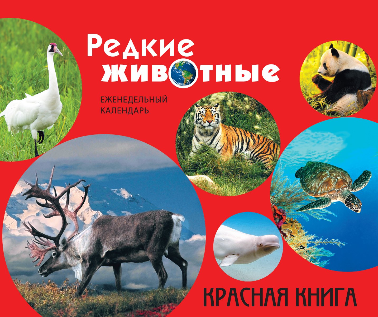 

Редкие животные. Красная книга: еженедельный календарь