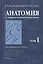 Анатомия (с основами спортивной морфологии) (комплект из 2 книг) — 2632630 — 1