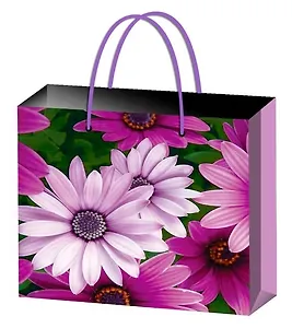 Пакет подарочный бумажный А4 32,7*26,4 ламинат, жен.тематика, ассорти LH, МегаМАГ