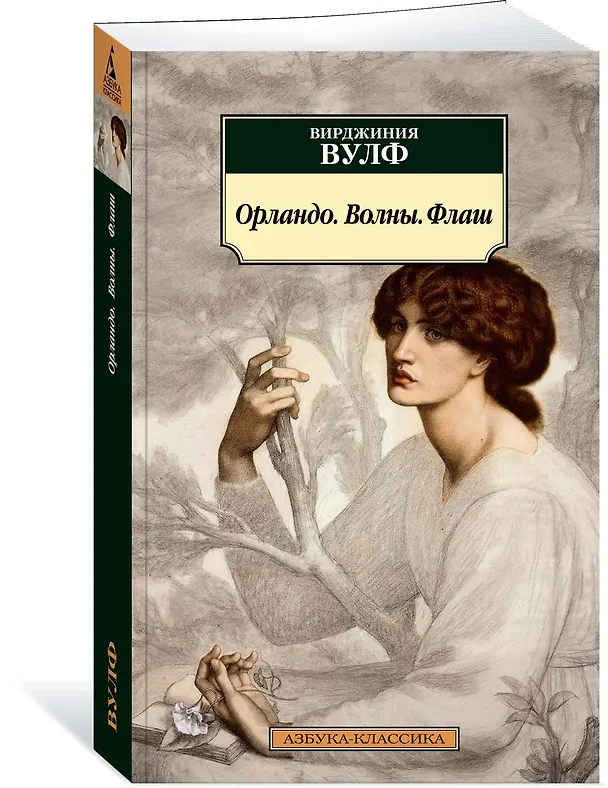 Книга Орландо. Волны. Флаш (Вирджиния Вулф) — 3