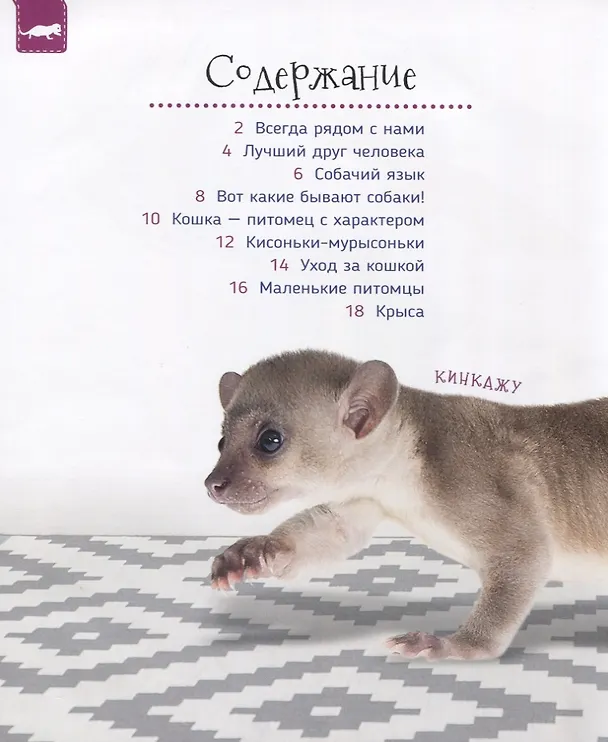 Книга Домашние питомцы (Светлана Гальцева) — 2