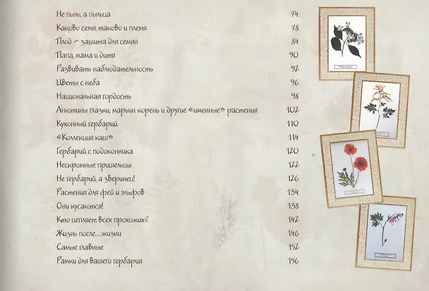 Книга Мой первый гербарий (Ольга Колпакова) — 3