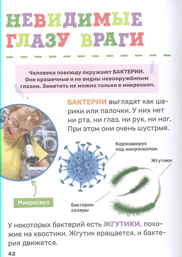 Книга Тело человека (Лариса Попова) — 6