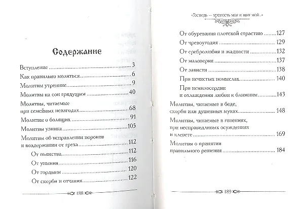 Книга Православный молитвослов в минуты жизненных бурь () — 3
