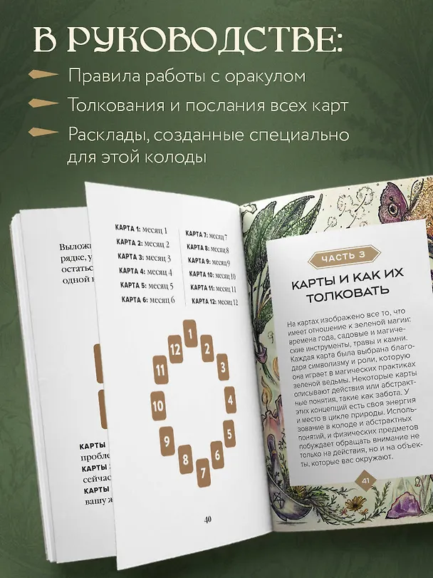 Книга Зеленая ведьма. Колода-оракул. Откройте для себя силу и мудрость природной магии (50 карт и руководство) (Эрин Мёрфи-Хискок) — 9
