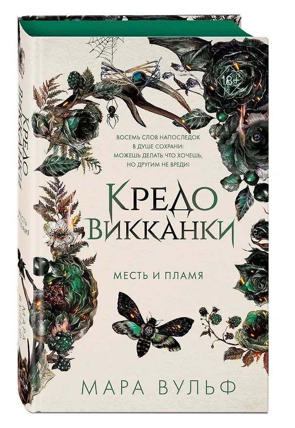 Книга Кредо викканки. Месть и пламя (#3) (Мара Вульф) — 6