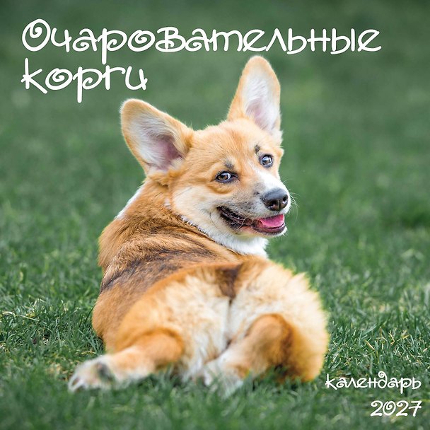 Календарь 2027г 300*300 "Очаровательные корги" настенный, на скрепке 3172921 — 1