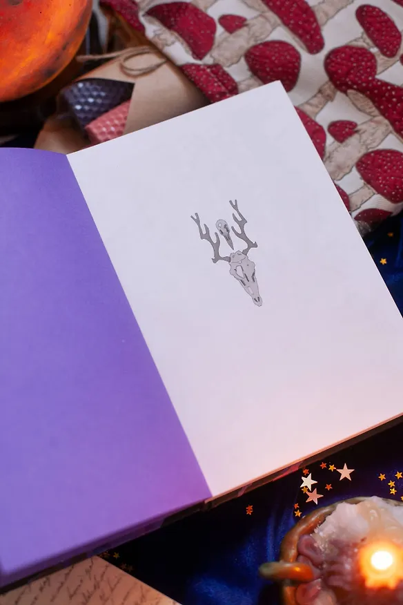 Книга От Руси до России (Лев Гумилев) — 13