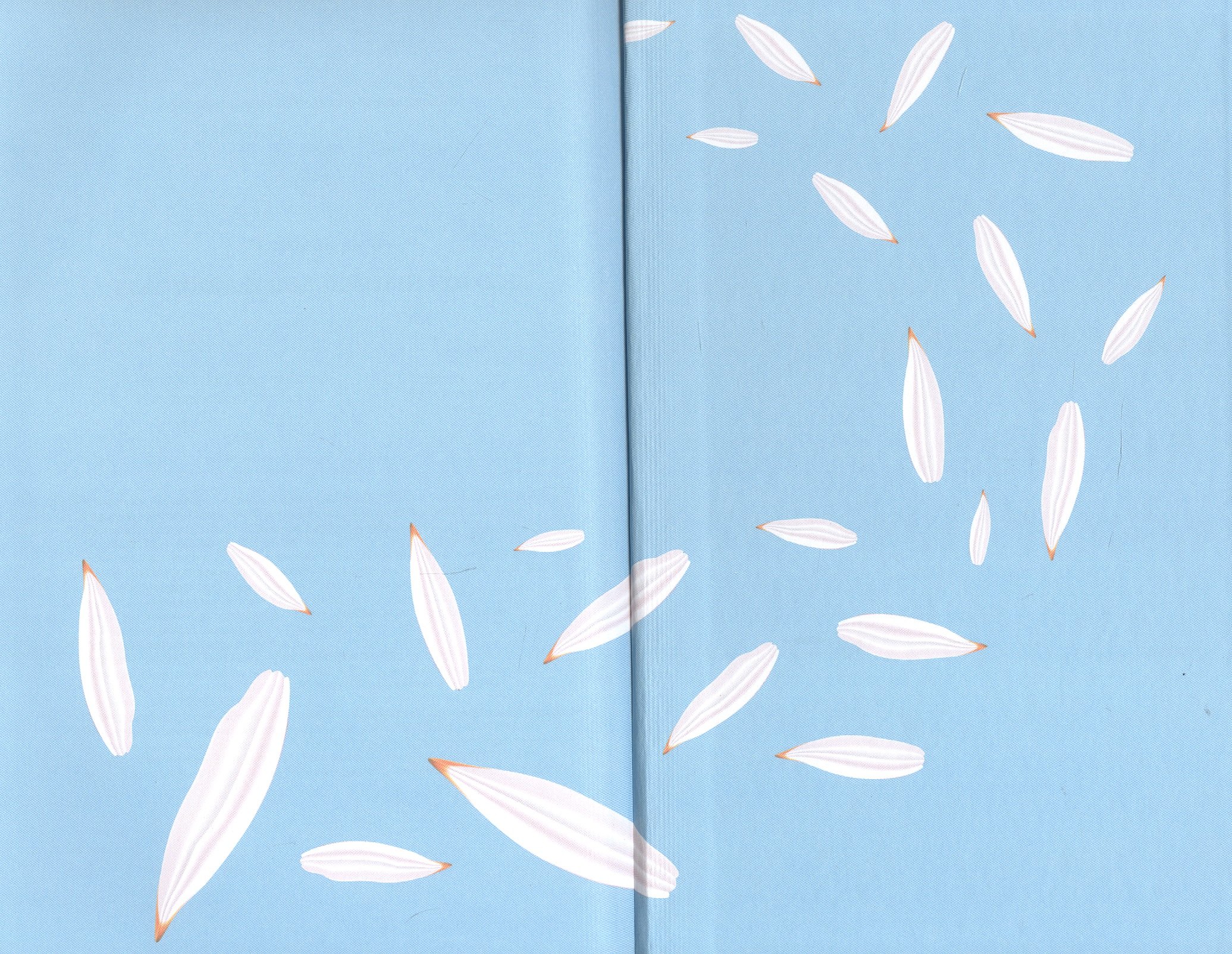 Изображение бумажной книги