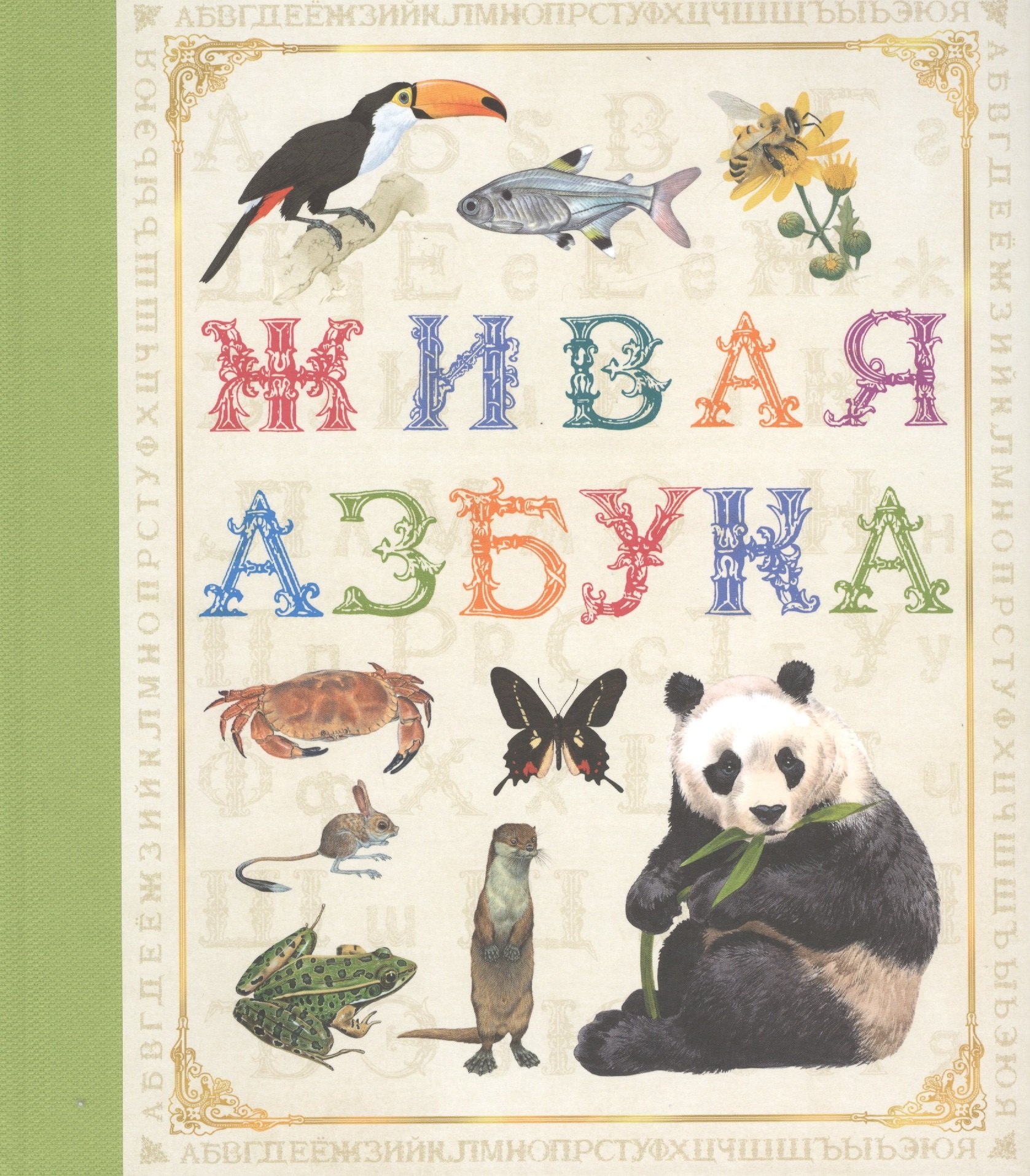 

Живая азбука