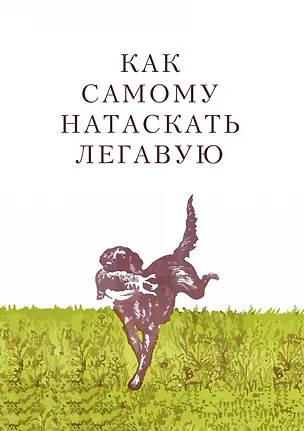 Как самому натаскать легавую 2905259