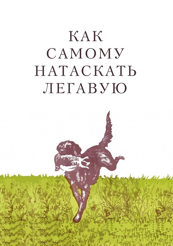 Как самому натаскать легавую 2905259 — 1