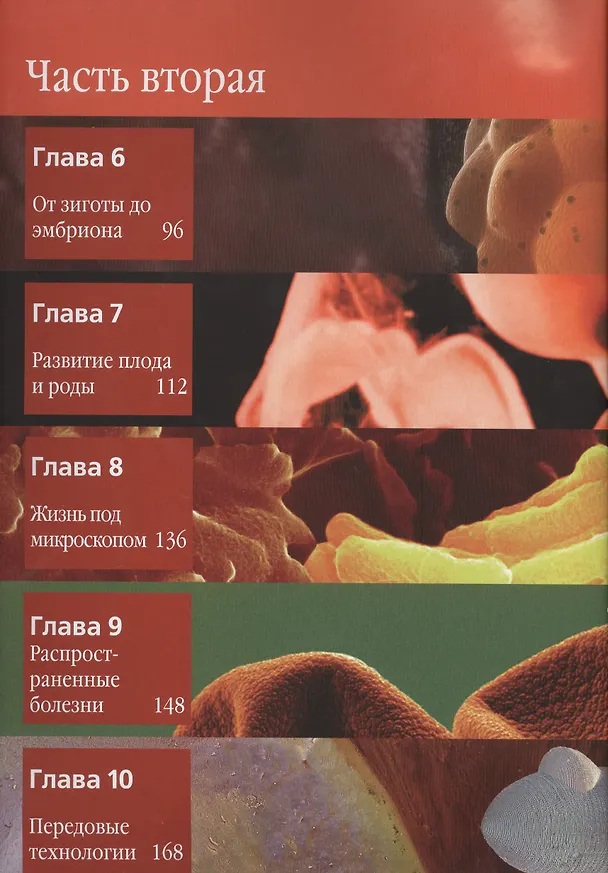 Книга Большой иллюстрированный атлас : Тело человека () — 3