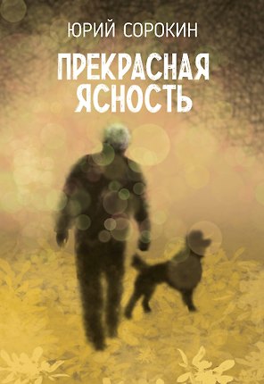Прекрасная ясность