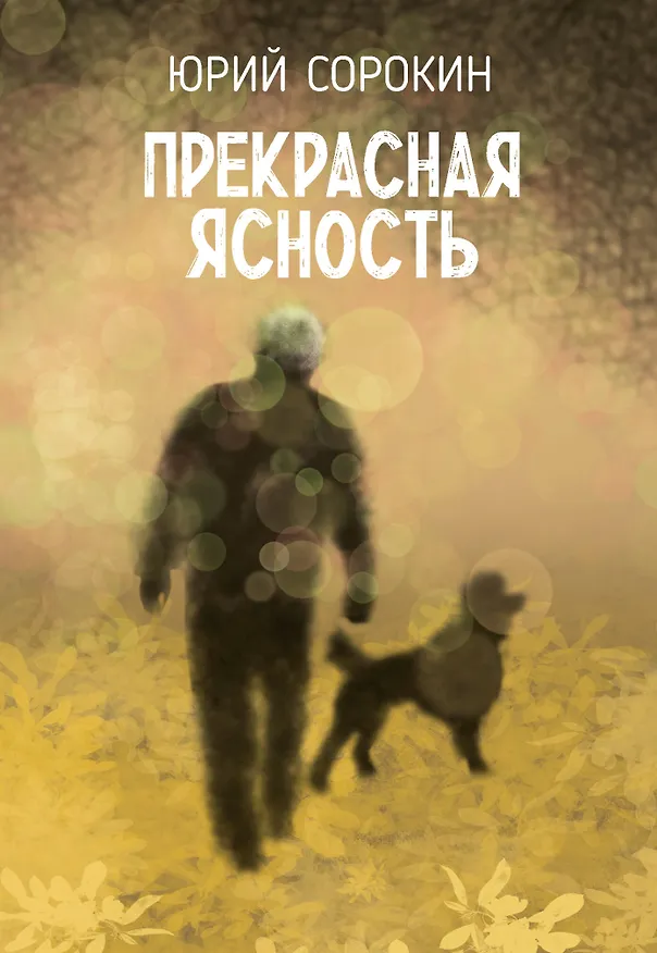 Книга Прекрасная ясность (Юрий Сорокин) — 1