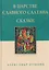 В царстве славного Салтана. Сказки — 3170262 — 1
