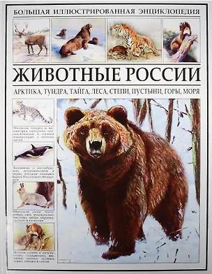 Книга Животные России ()