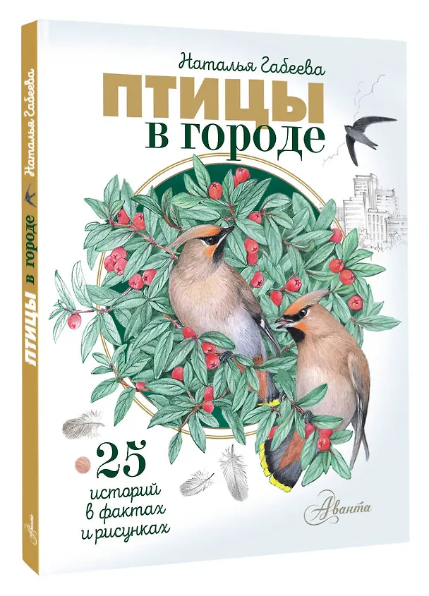Книга Птицы в городе. 25 историй в фактах и рисунках (Наталья Габеева) — 4
