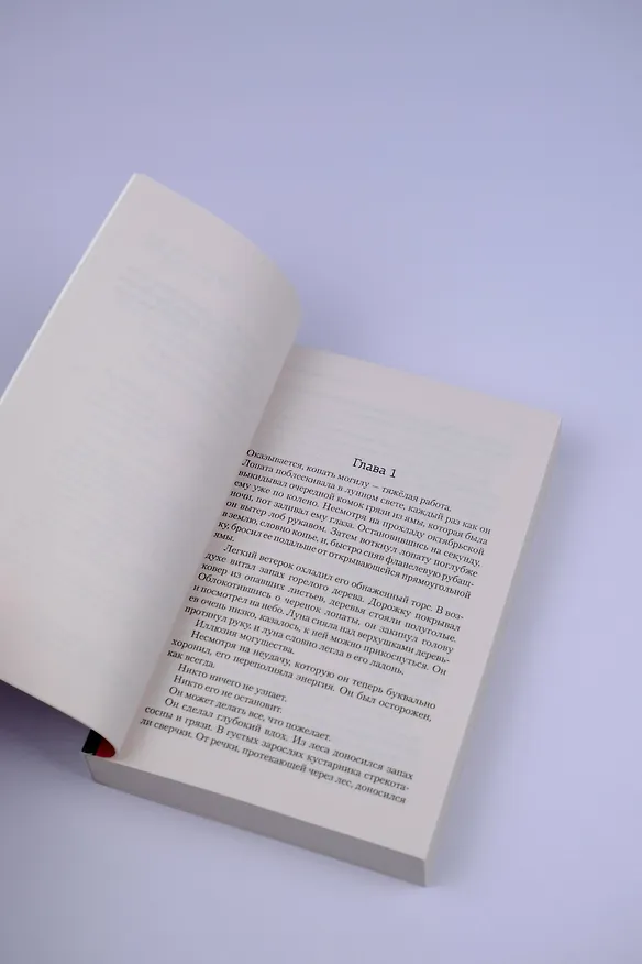 Книга Ее последнее прощай (Мелинда Ли) — 7