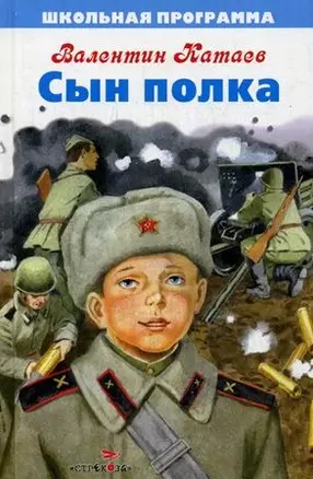 Сын полка. Повесть — 2451378 — 1