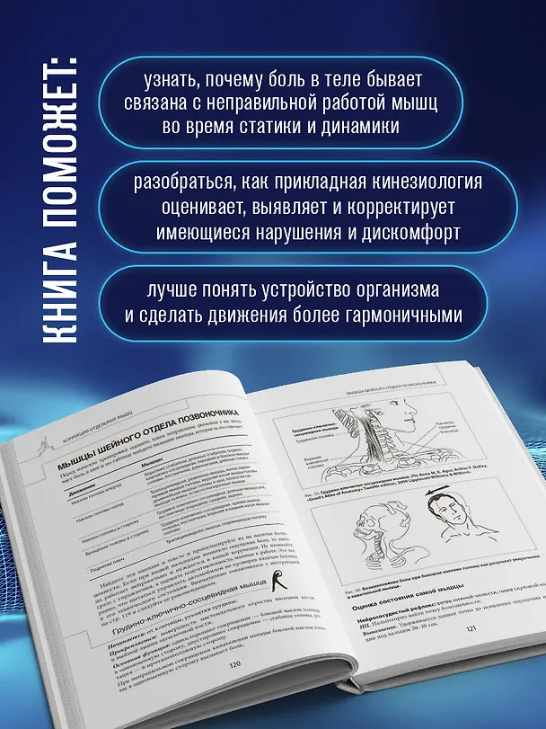 Книга Прикладная кинезиология. Восстановление тонуса и функций скелетных мышц (Людмила Васильева) — 8