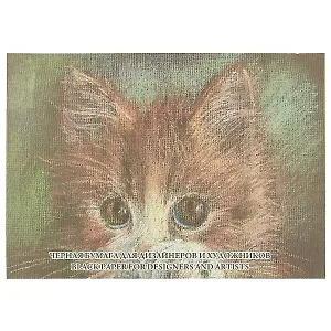 Набор тонированной бумаги «Black», 10 листов, А3