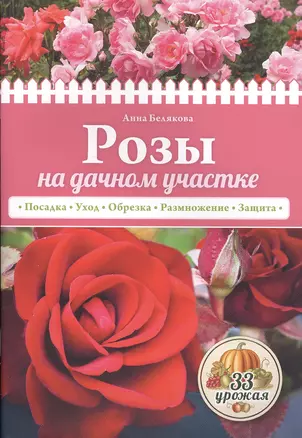 Розы на дачном участке (нов.оф.) — 2501872 — 1