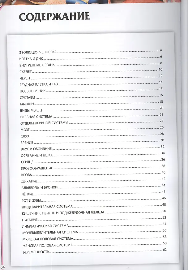 Книга Детский атлас анатомии (Гуиди Винченцо) — 2