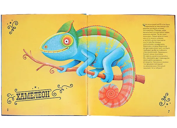 Книга Чудо-животные. Странные, хитрые, забавные… (Сабина Конечна) — 3