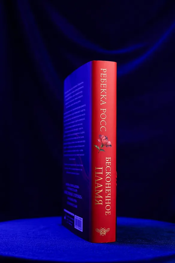 Книга Бесконечное пламя (Ребекка Росс) — 11