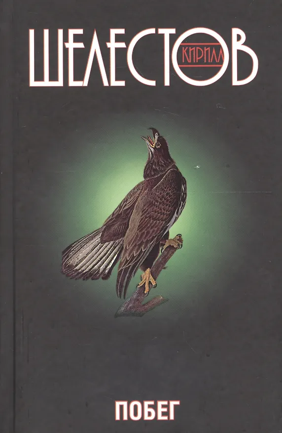 Книга Побег (Кирилл Шелестов) — 1