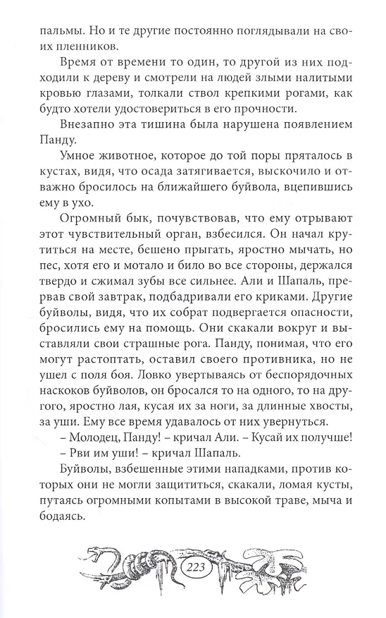 Книга Капитан "Ямуны" (Эмилио Сальгари) — 5