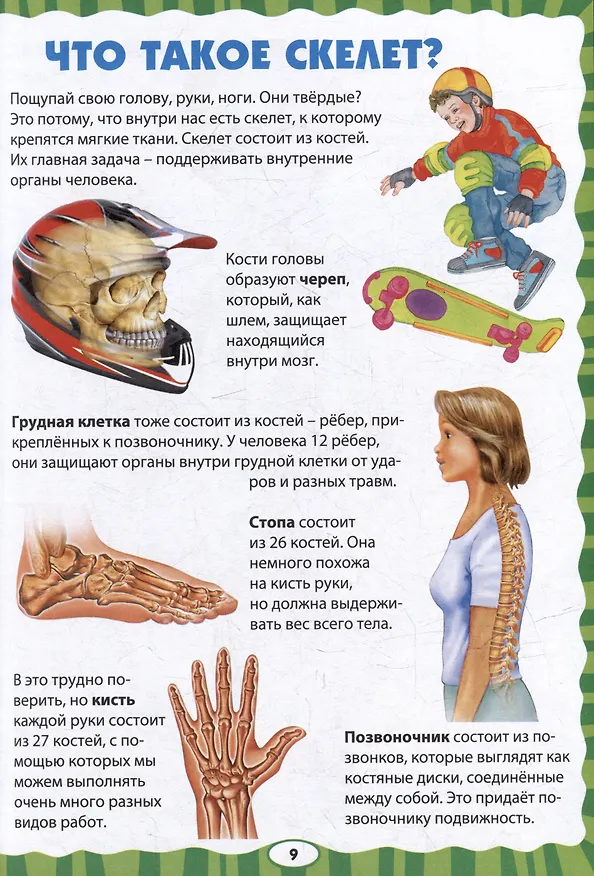 Книга Как устроен человек. Первая энциклопедия для малышей () — 4