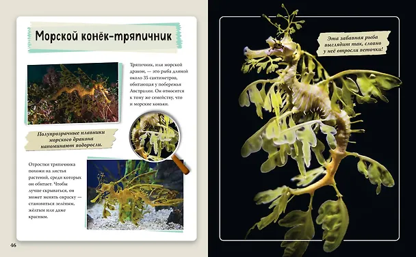 Книга Удивительные животные нашей планеты () — 7