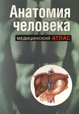 Анатомия человека — 2227849 — 1