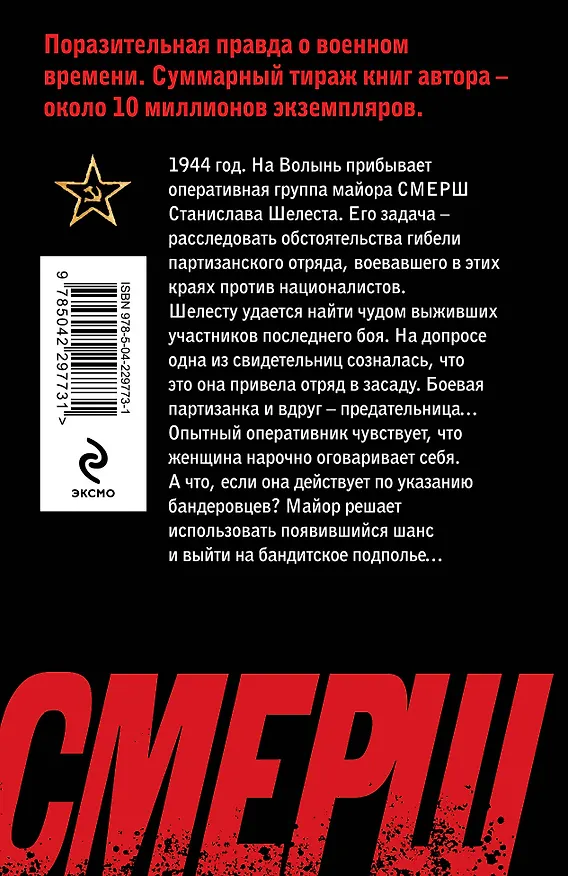 Книга Волынская мадонна (Александр Тамоников) — 2