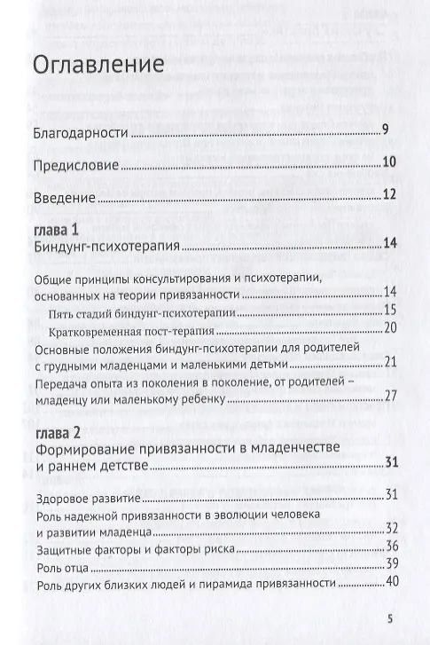 Книга Биндунг-психотерапия: младенчество и ранний возраст. Консультирование и терапия, основанные на теории привязанности (Карл Хайнц Бриш) — 2