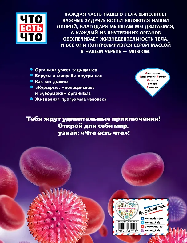 Книга ЧЕЛОВЕК. Взгляд внутрь (Сабрина Рахлей) — 2