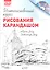 Интенсивный курс рисования карандашом + DVD — 2361181 — 2