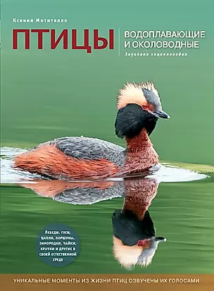 Птицы. Водоплавающие и околоводные. Звуковая энциклопедия — 2378975 — 1