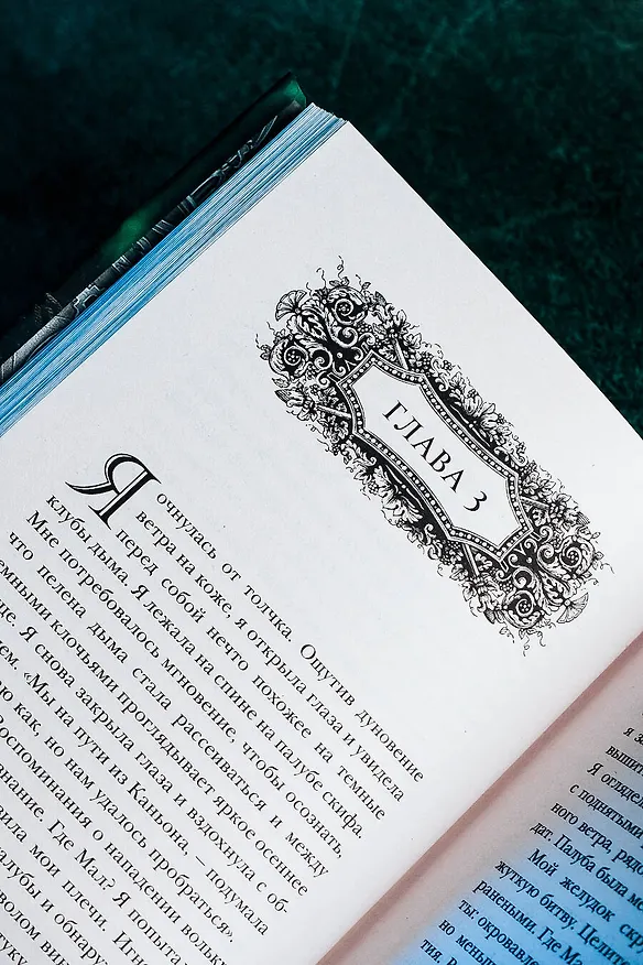 Книга Тень и кость (Ли Бардуго) — 10