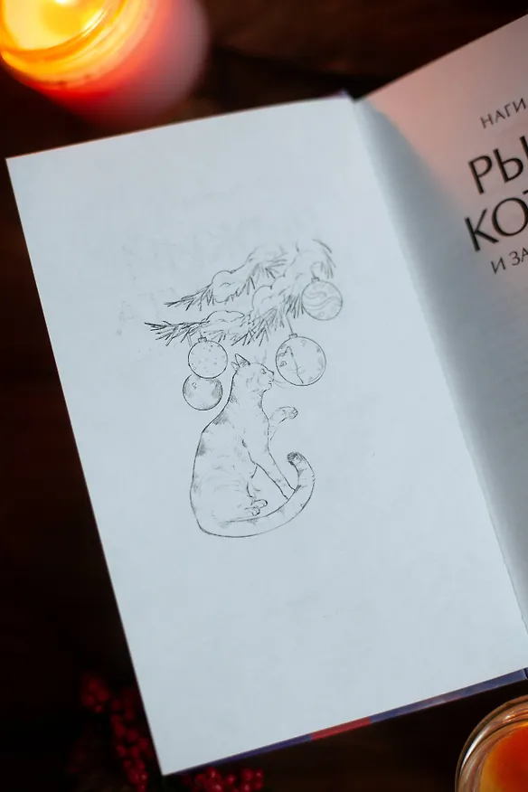 Книга Рыжий кот Фута и затерянный домик в горах (Наги Симэно) — 12