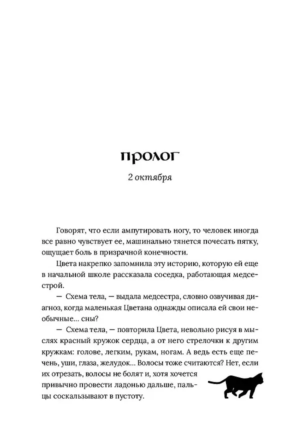 Книга Здесь водятся бесы (Снежана Каримова) — 9