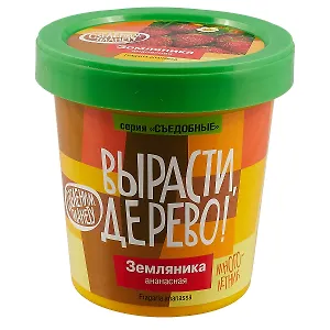 Набор для опытов и экспериментов Набор Вырасти дерево! Земляника ананасная zk-038