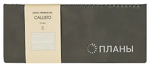 Планинг недат. 56л "Callisto" весенний туман, настольный, иск.кожа, интегр.переплет, скругл.углы, тонир.блок, тисн.фольгой, евроспираль, офсет 2993849