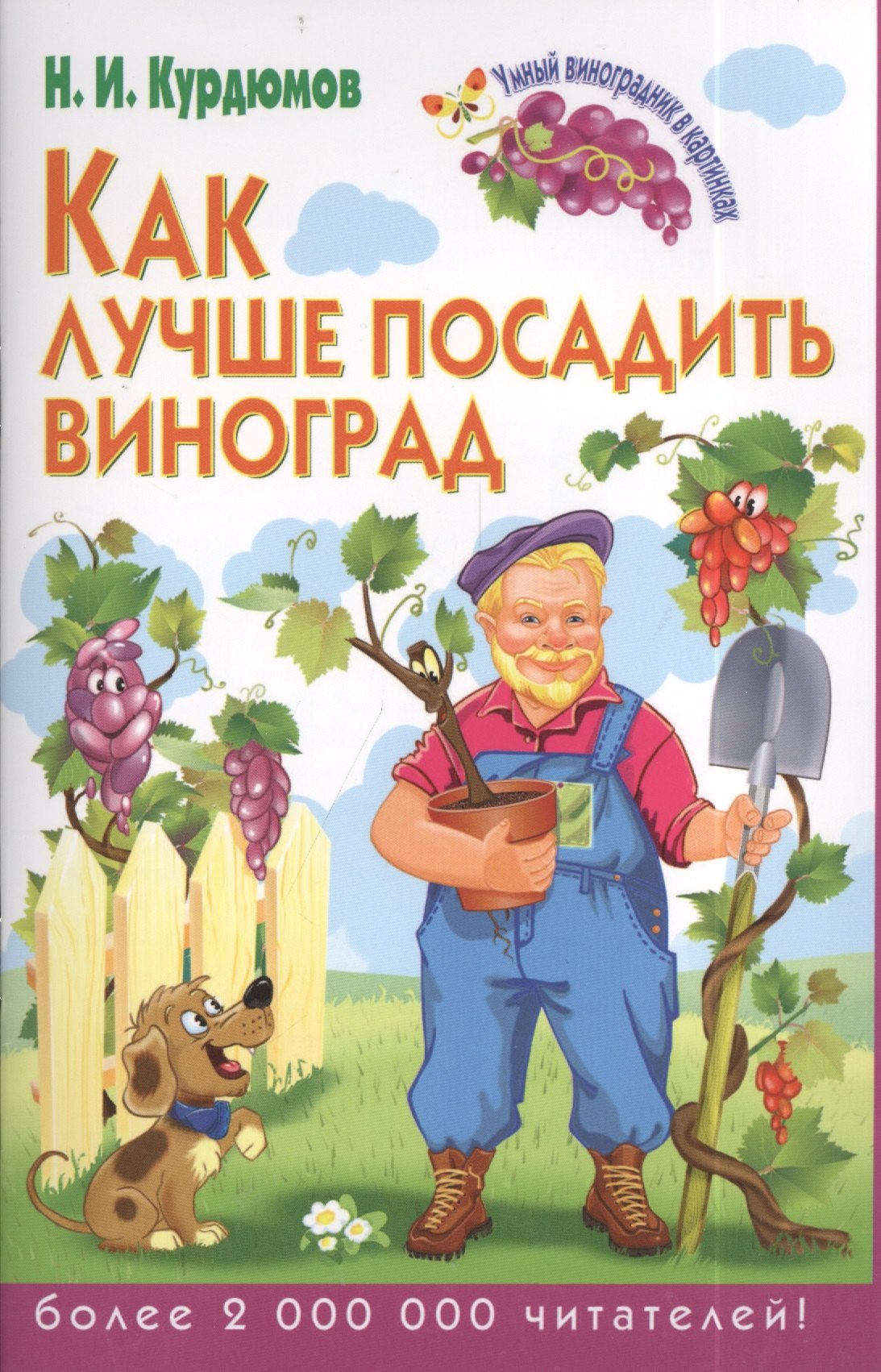 

Как лучше посадить виноград