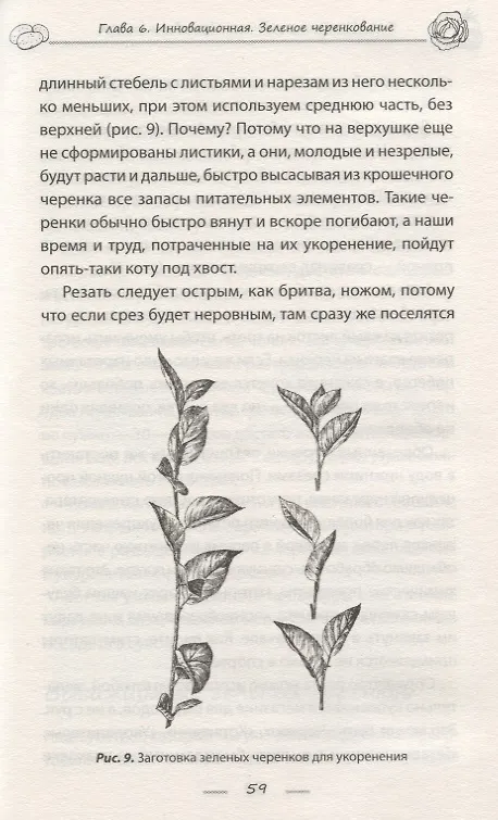 Книга Как обустроить сад и зарабатывать на нем (Василий Тыбель) — 6